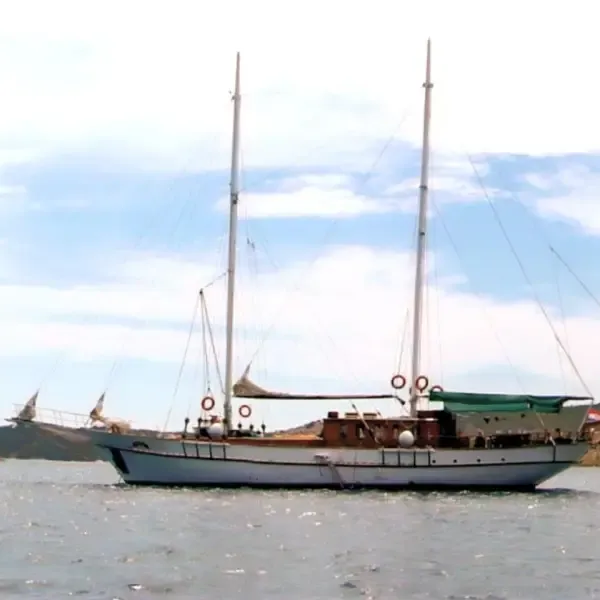 Yacht image 13