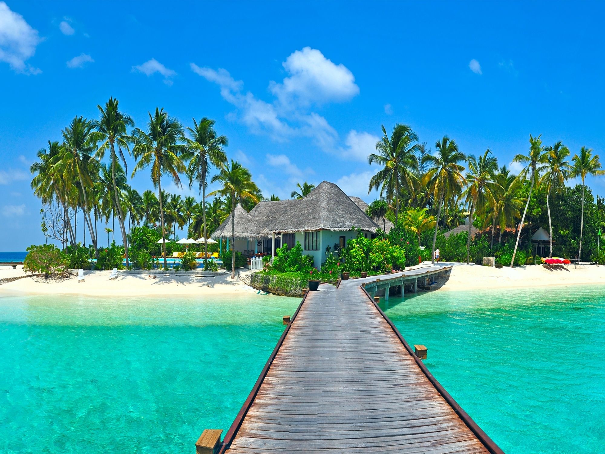 Maldive